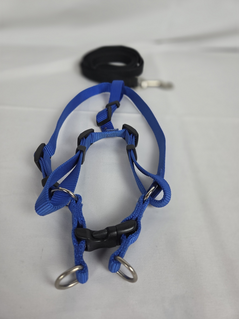 Blue Adjustable Dog Harness and Leash Set